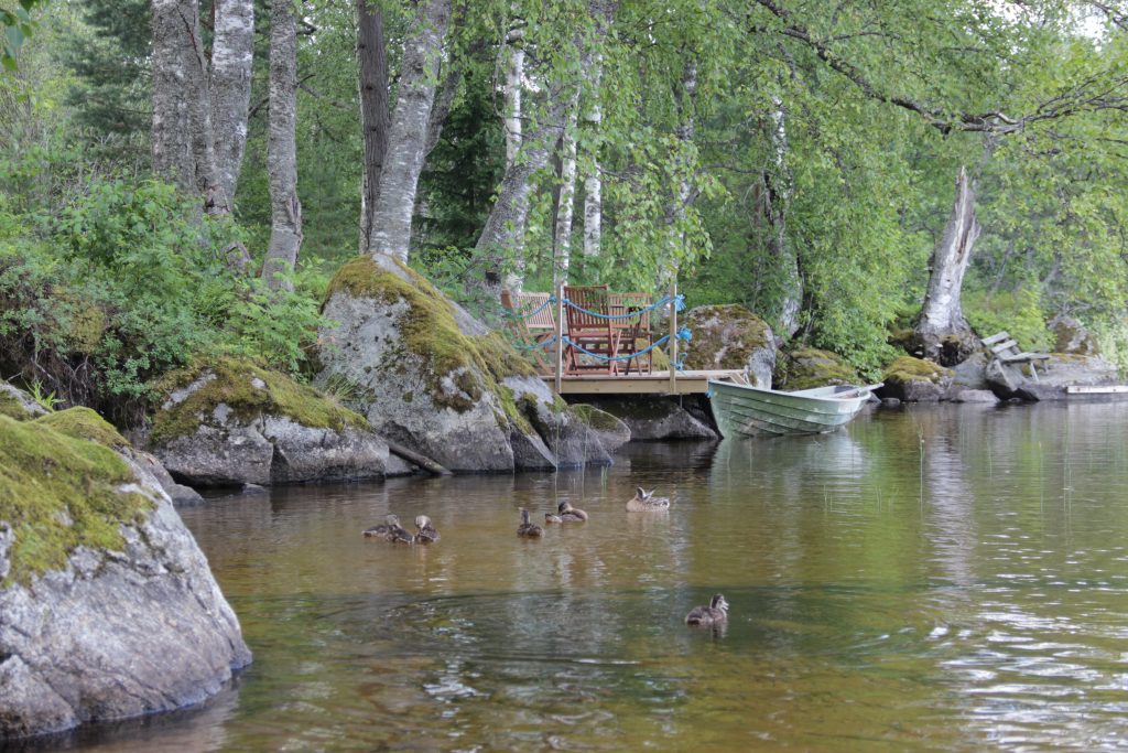 Kesäinen maisema, laituri, vene ja sorsia. Aholan mökit Padasjoki.
