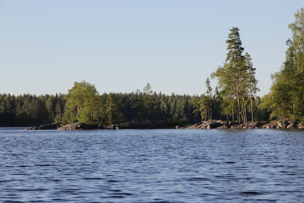 Kesäinen maisemakuva järvenrantaa ja metsämaisemaa. Aholan mökit Padasjoki.